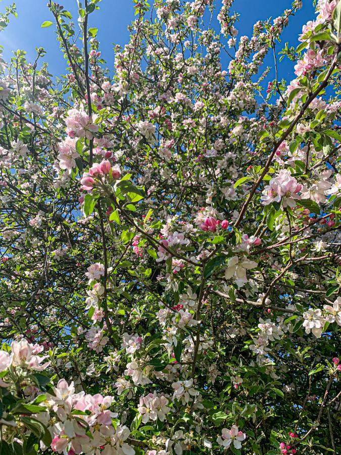 Holiday Home Les Plachettes Flobecq Luaran gambar